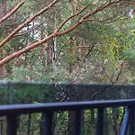 דירה Sunny Pines *