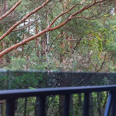 Apartament Sunny Pines *