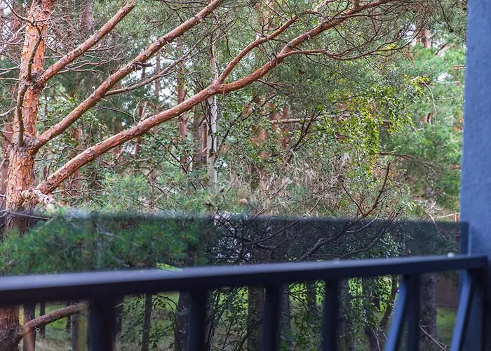 דירה Sunny Pines *